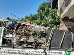 Best Hoarding Cleanup  in Pleasant View, TN